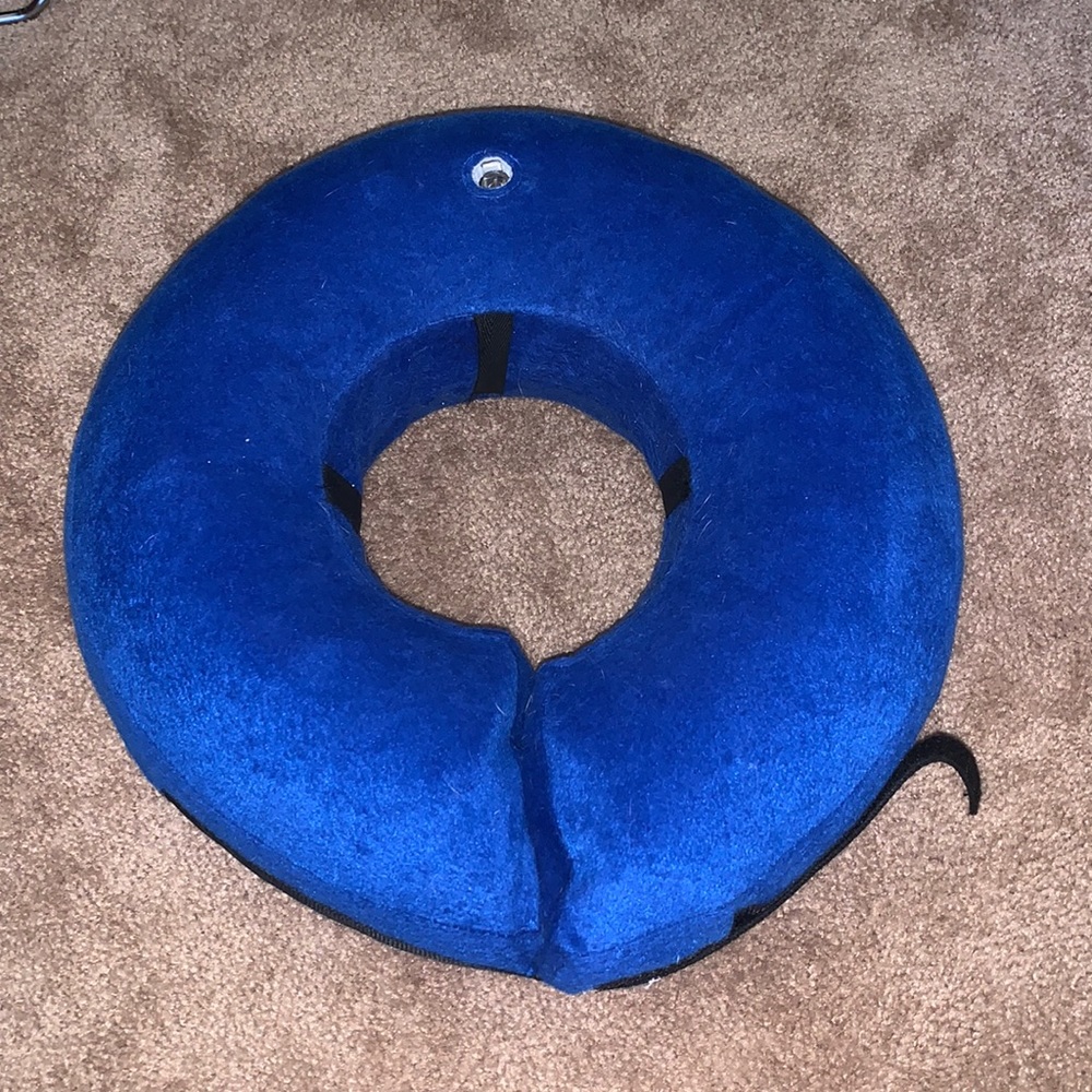 Inflatable dog e-collar for medium/large dogs